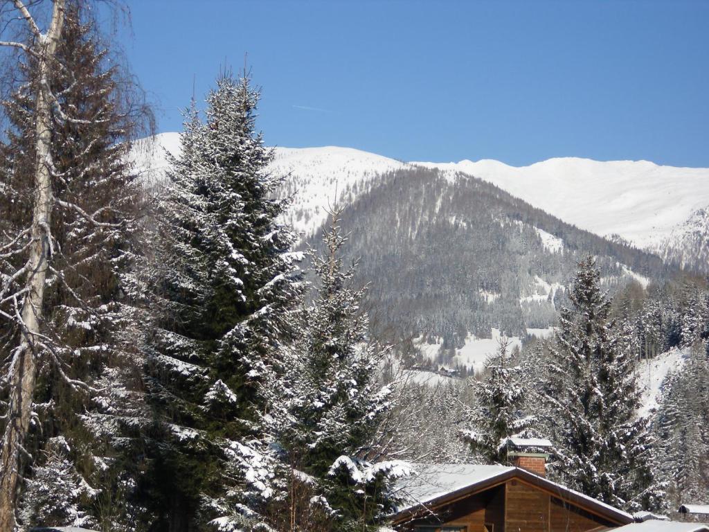 Appartement Latschen - Ferienhaus Bad Kleinkirchheim Kültér fotó